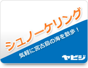 シュノーケリング