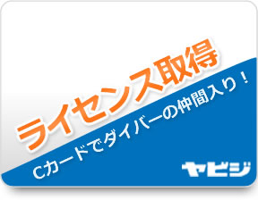 ライセンス取得