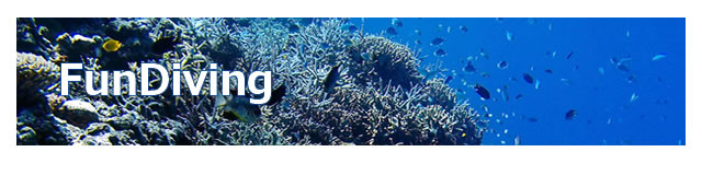 宮古島のダイビングならヤビジ