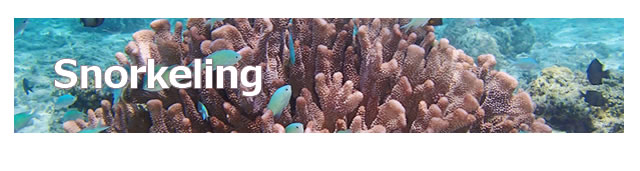 宮古島のダイビングならヤビジ