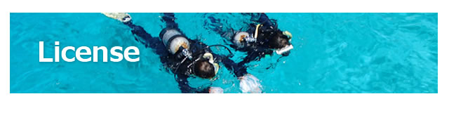 宮古島のダイビングならヤビジ