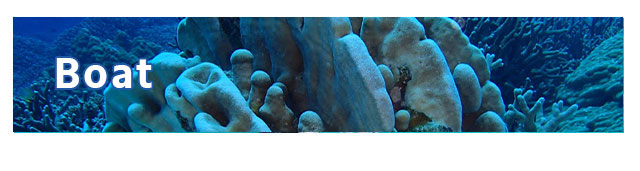 宮古島のダイビングならヤビジ