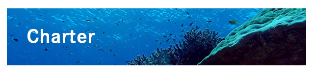 宮古島のダイビングならヤビジ